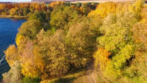 배경에 나무를 시골의 아름다운 가을에 놀라운 — 비디오