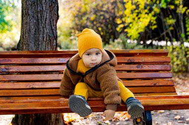 Park 'taki ahşap bankta oturan küçük çocuk. Huzurlu bir parktaki ahşap bir bankta sakince oturan meraklı bir yüzü olan genç bir çocuk..