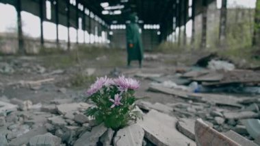 Doğa tehlikede. Güvenlik giysisi ve gaz maskeli bir ekolojist terk edilmiş yerlere çiçek yerleştiriyor. Biyokimyasal saldırı ve kirlenmiş çevre konsepti