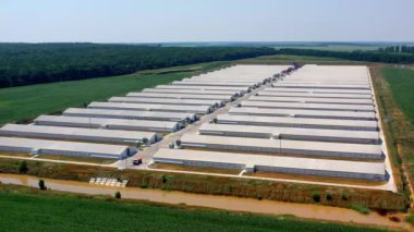 Yazın güneşli bir sabahta büyük ahırı, tavuk kümesi ve tarlası olan bir çiftlik manzarası. Çekim başlıyor. Çiftçilik kavramı