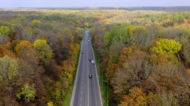 Renkli ormanlık alanda yol. Güzel bir ormanın sonbahar manzarası. Düz asfalt yolda, arabalar hareket halinde. Sonbahar mevsiminde ormanın renkli doğası. Hava görünümü
