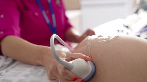 Detailní Záběr Doktora Dělá Ultrazvuk Sonogram Procedury Pro Těhotnou Ženu — Stock video