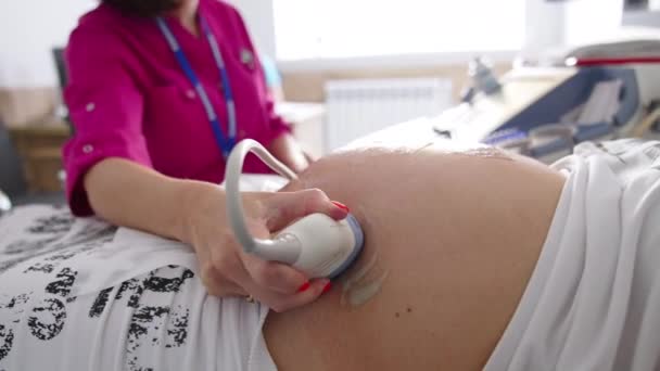 Gravid Kvinna Får Ultraljud Screening Modern Ultraljudsundersökning Graviditet — Stockvideo