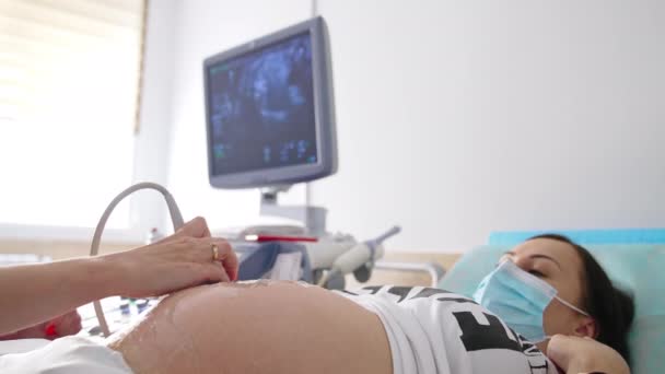 Porodnické Ultrazvukové Snímky Ultrazvukové Vyšetření Těhotné Ženy Koncept Těhotenství Zdravotní — Stock video