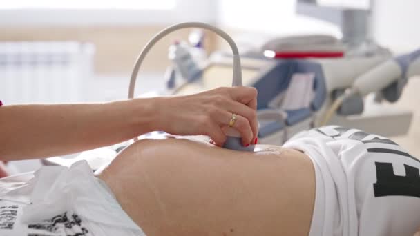 Geburtshelfer Untersuchen Schwangerschaftsbauch Ultraschall Prozess Der Fetalen Ultraschalluntersuchung Schwangerschaft Und — Stockvideo