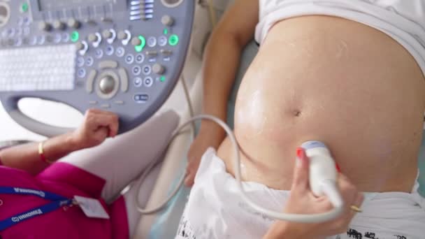 Pregnant Woman Having Ultrasound Scan Pregnancy Healthcare Concept Prenatal Screening — Stock Video