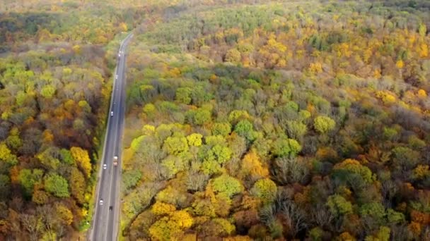 Jesienna Sceneria Autostrada Panoramiczny Widok Drogę Samochodami Poruszającymi Się Wewnątrz — Wideo stockowe