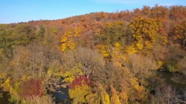Mavi bir gökyüzünün arka planına karşı ılık renklerle donatılmış sonbahar ormanlarının havadan görünüşü. Güzel doğa nehir kavramı