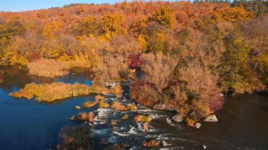 Sonbaharda ormanın yakınındaki geniş nehrin hareketli kamera görüntüsü. Hava görünümü