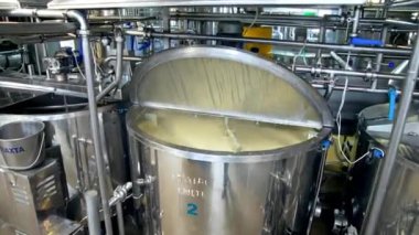 Süt ürünleri fabrikasında tereyağı üretimi. Süt ürünleri endüstriyel hattında tereyağı üretimi