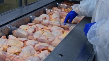 Et işleme tesisi. Konteynırlarda konveyör hattında paketlenmiş tavuk eti hazırlayın. İşçi tavuk çiftliğine et koyar ve paketlemeye hazırlanır.