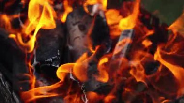 Kömürler alevler içinde yanıyor. Turuncu ateş odunu ızgaradaki kömüre dönüştürür. Yanan odunların arka planı. Yakın plan.