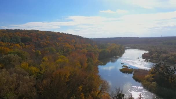 Naturlandschaft Herbst Panoramablick Auf Idyllischen Wald Mit Hellen Bäumen Der — Stockvideo