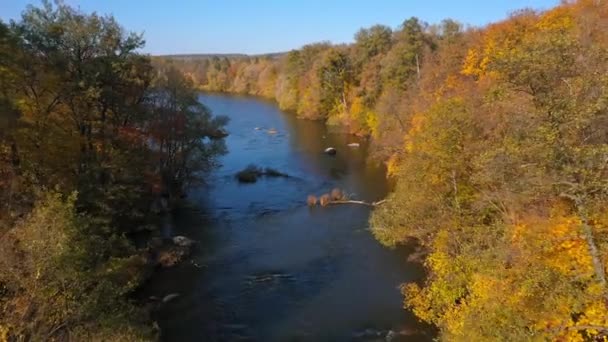 Luftaufnahme Fliegen Über Den Schönen Sonnigen Herbstwald Bunte Bäume Landschaftspanorama — Stockvideo