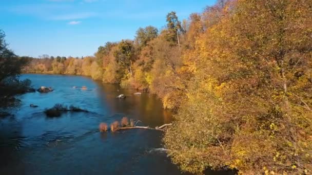 Лісовий Річковий Дикий Пейзаж Вид Повітря Ліс Річкою Взимку Концепція — стокове відео