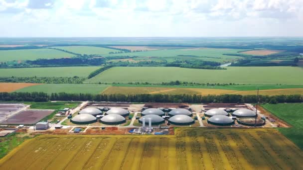 Produzione Combustibile Sostenibile Chiamato Biogas Nuova Fabbrica Sul Campo Vista — Video Stock