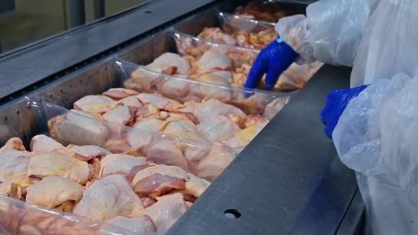 Fleischverarbeitungsanlage Fertiges Hühnerfleisch Verpackt Containern Auf Einer Förderlinie Arbeiter Legt — Stockvideo