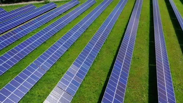 Велика Сонячна Ферма Полі Ряди Блакитних Сонячних Батарей Отримують Чисту — стокове відео