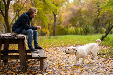 Beyaz Köpek 'in yanındaki bankta oturan adam. Beyaz bir köpeğin yanındaki bankta oturan bir adam dışarıda huzurlu bir anın tadını çıkarıyor..