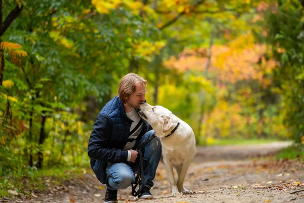 A touching image capturing a man kneeling down to tenderly kiss his beloved white dog.