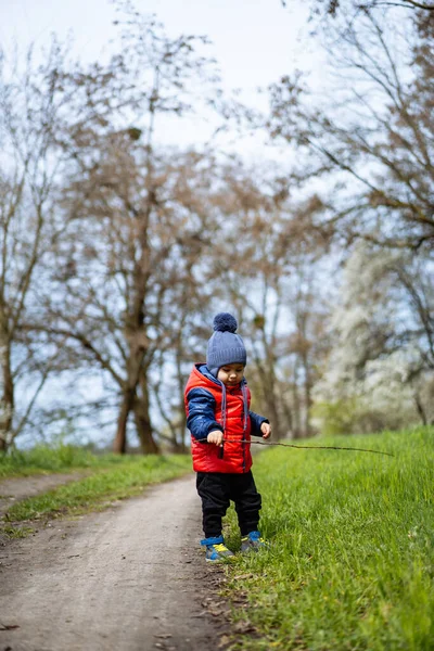 Small child walks along path in the park in spring
