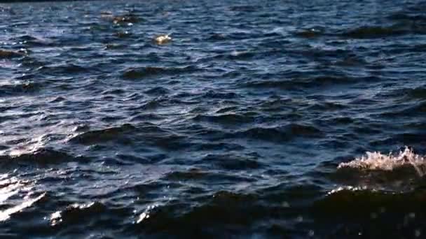 Крупный План Океанских Волн Плескающихся Замедленной Съемке Удивительные Морские Волны — стоковое видео