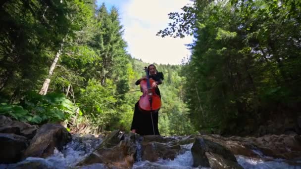 Güzel Bayan Telli Enstrümanla Çalıyor Çello Çalan Müzisyenlerle Doğa Performansı — Stok video