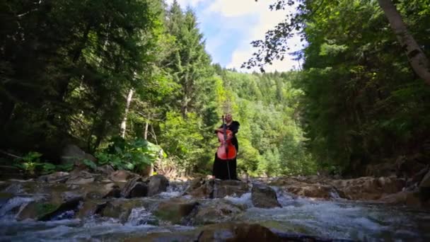 Piękna Kobieta Grająca Wiolonczeli Naturze Ogromna Wiolonczela Rękach Kobiety Lesie — Wideo stockowe