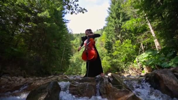 Outdoor Natuur Perfomance Met Muzikant Spelen Cello Mooie Dame Spelen — Stockvideo
