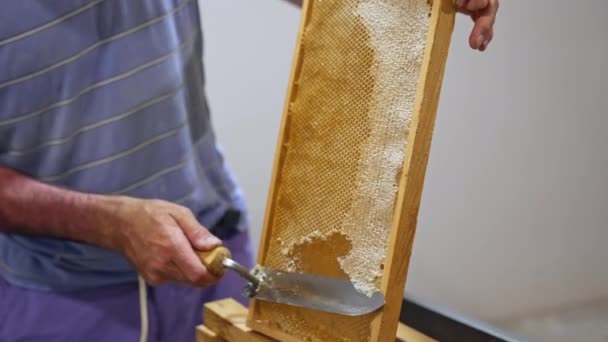 Zbieranie Złotego Miodu Drewnianej Ramki Zbliżenie Pszczelarza Drapiącego Plaster Miodu — Wideo stockowe