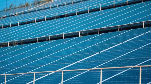 太陽光パネルは緑のエネルギーの風景の分野の列に立っています 代替太陽光エネルギー技術 — ストック動画