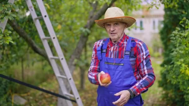 Farmer Man Working Fresh Fruits Baskets Garden Apples Harvesting Baskets — Stock Video