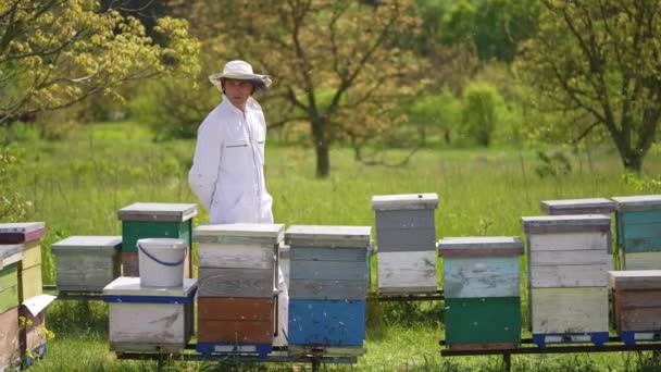 Een Man Uniform Die Bijenteelt Werkt Biologische Bijenkammen Landbouw — Stockvideo