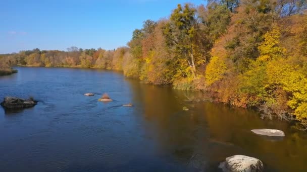 美しい秋の川のドローンビュー オレンジ色の風景 空中ビュー — ストック動画