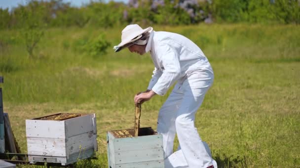 Zemědělské Včelařství Včelař Uniformě Pracující Úly — Stock video