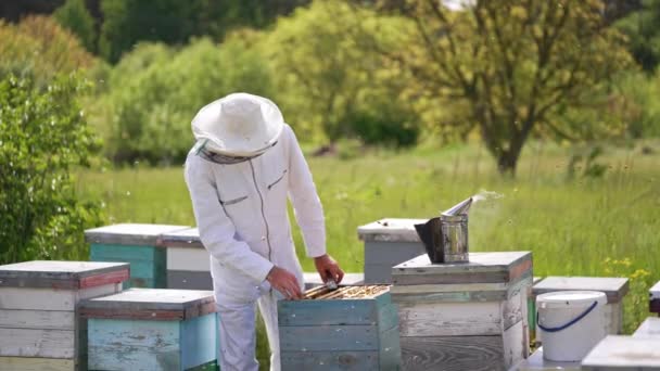 Méhész Munkás Védőegyenruhában Egyenruhás Méhész Aki Méhkaptárban Dolgozik — Stock videók