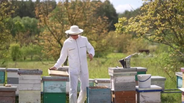 Arıcı Tarafından Organik Bal Hasadı Yaz Arıcısı Arı Kovanlarıyla Çalışıyor — Stok video