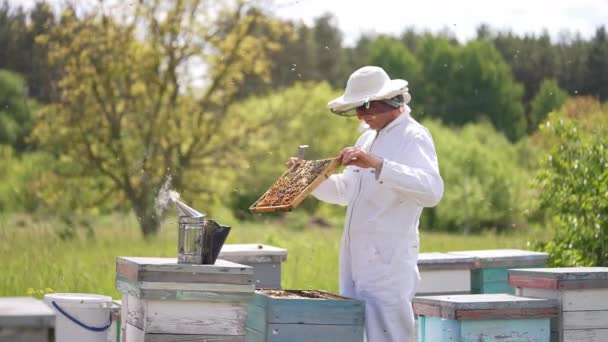 벌집과 비키퍼에 유기농 — 비디오