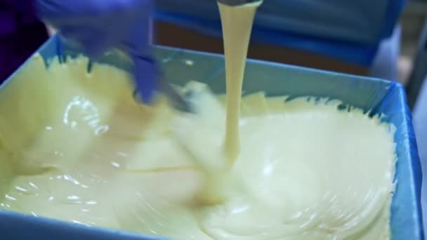 Фабричное Производство Сыра Крупной Промышленности Огромные Заводские Молочные Цистерны Производства — стоковое видео