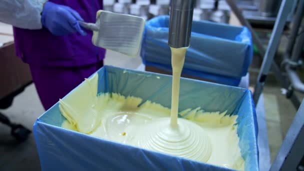 Produkce Máslového Potravinářského Průmyslu Průmyslová Výroba Sýra Velké Továrně — Stock video