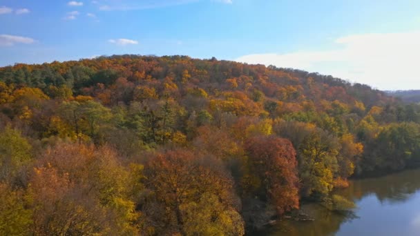 美しい秋の黄色い川の風景 季節の茶色の森の風景 — ストック動画