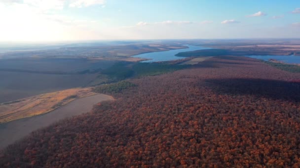 Drone Vista Della Foresta Del Lago Veduta Aerea Dei Paesaggi — Video Stock