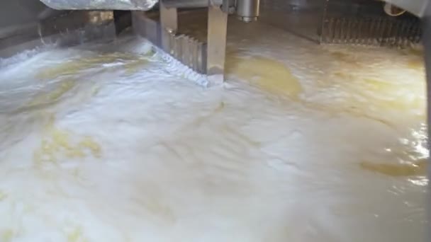 食糧現代有機産業プロセス ミルク製造工場 — ストック動画