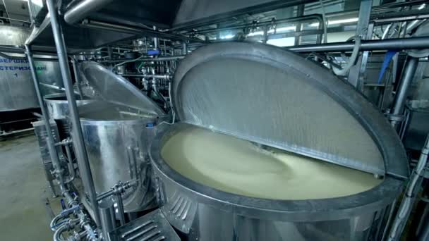 Gran Fábrica Para Hacer Queso Producción Quesería Láctea — Vídeos de Stock