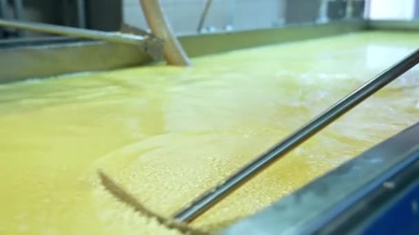 Produkcja Mleka Fabryce Nowoczesny Proces Produkcji Żywności Ekologicznej — Wideo stockowe