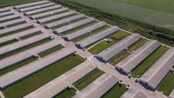 Industriële Luchtfoto Hangars Technologie Moderne Landbouw Het Platteland — Stockvideo