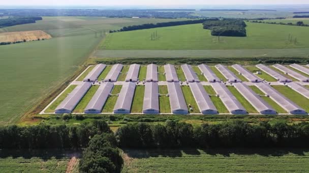 Tecnologia Agricultura Rural Moderna Hangares Vista Aérea Industrial — Vídeo de Stock