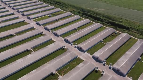 一家生产各种畜产品的现代企业 绿色农田边排成一排的长期耕作的机库 — 图库视频影像