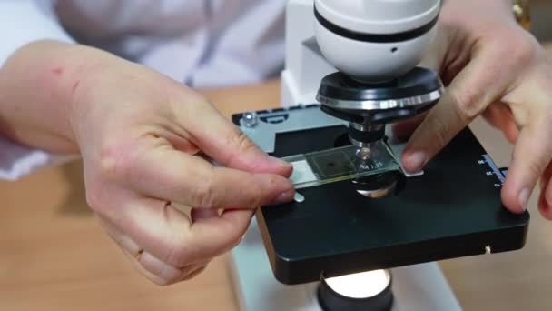 Ricercatore Laboratorio Mette Campione Microscopio Laboratorio Medico Nel Moderno Ospedale — Video Stock