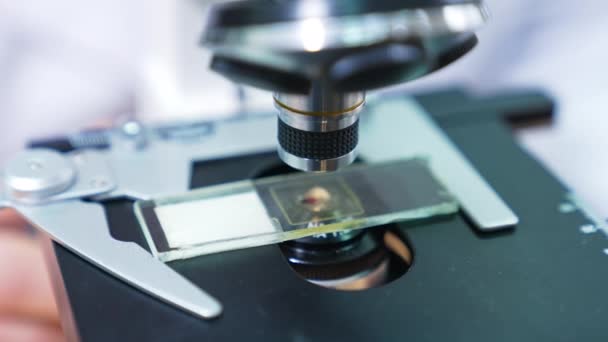 Amostra Sangue Ser Examinada Microscópio Close Tiro Microscópio Laboratório Desenvolvimento — Vídeo de Stock